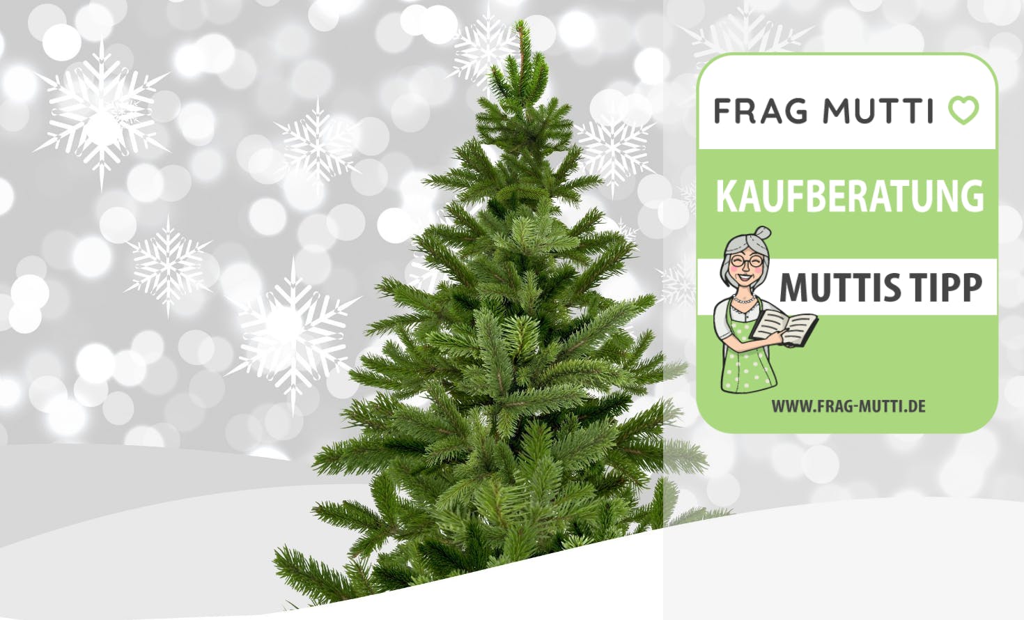 Christbaum Kaufberatung