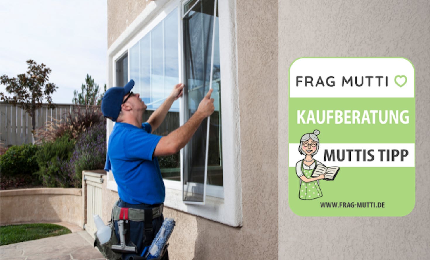 Fliegengitter Fenster Kaufberatung