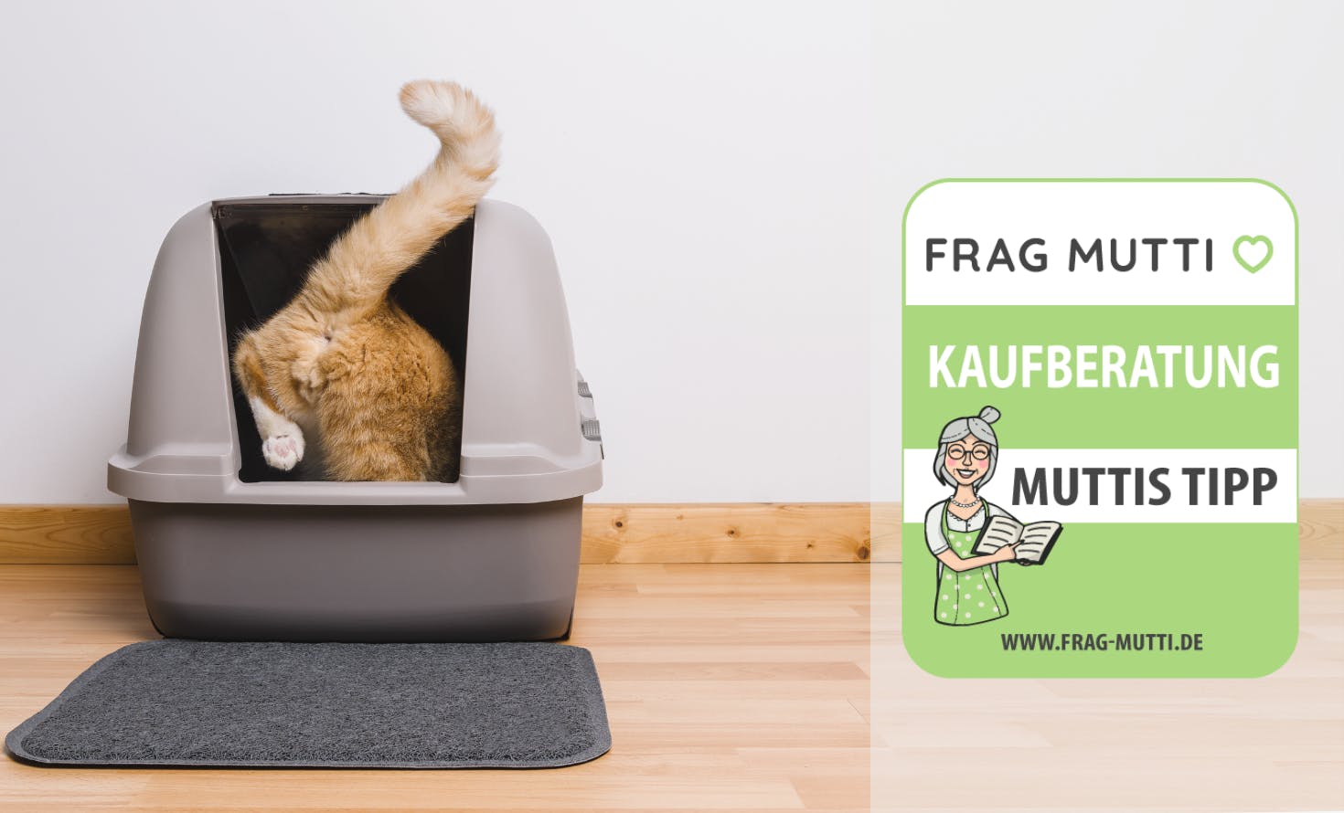 Katzentoilette Test und Vergleich 2024