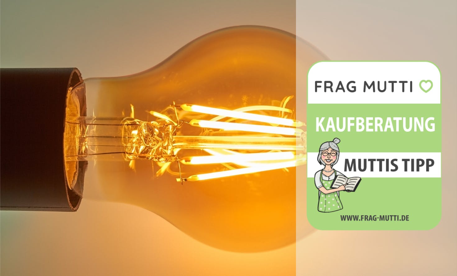 LED-Lampen Kaufempfehlung