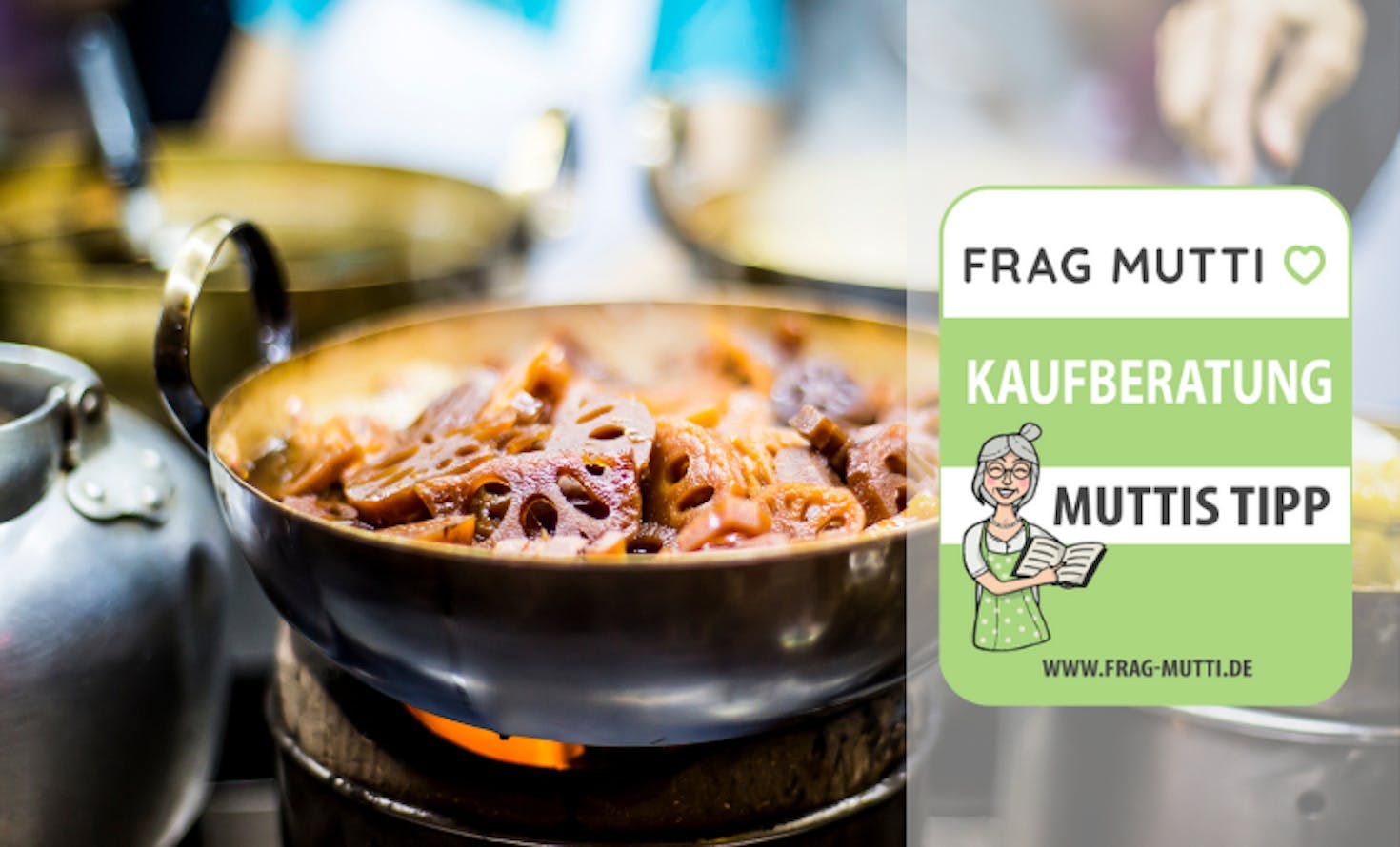 Lotusgrill Kaufberatung