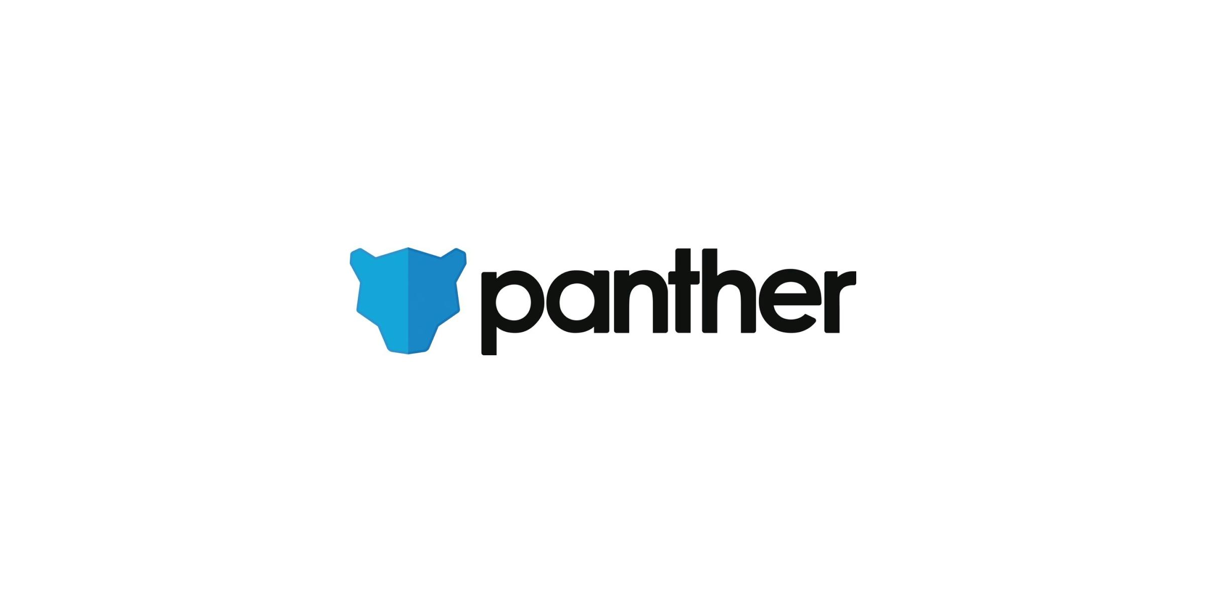 Report: Panther's Business Breakdown & Founding Story