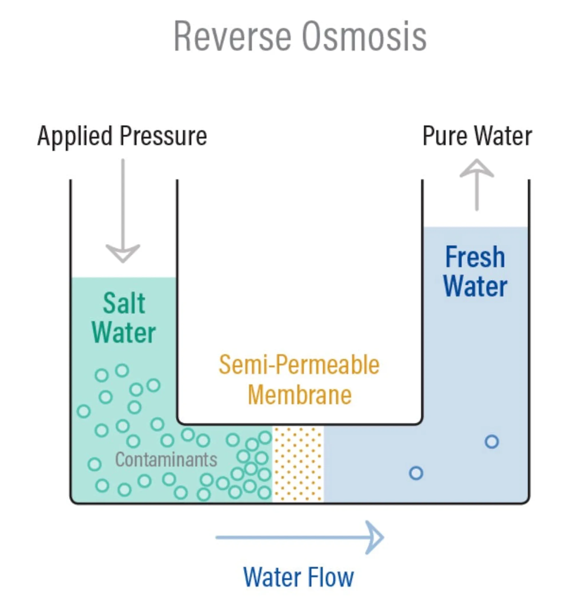 Diagram of reverse osmosis, applied pressure forcing water from the salt side through the membrane to yield pure water