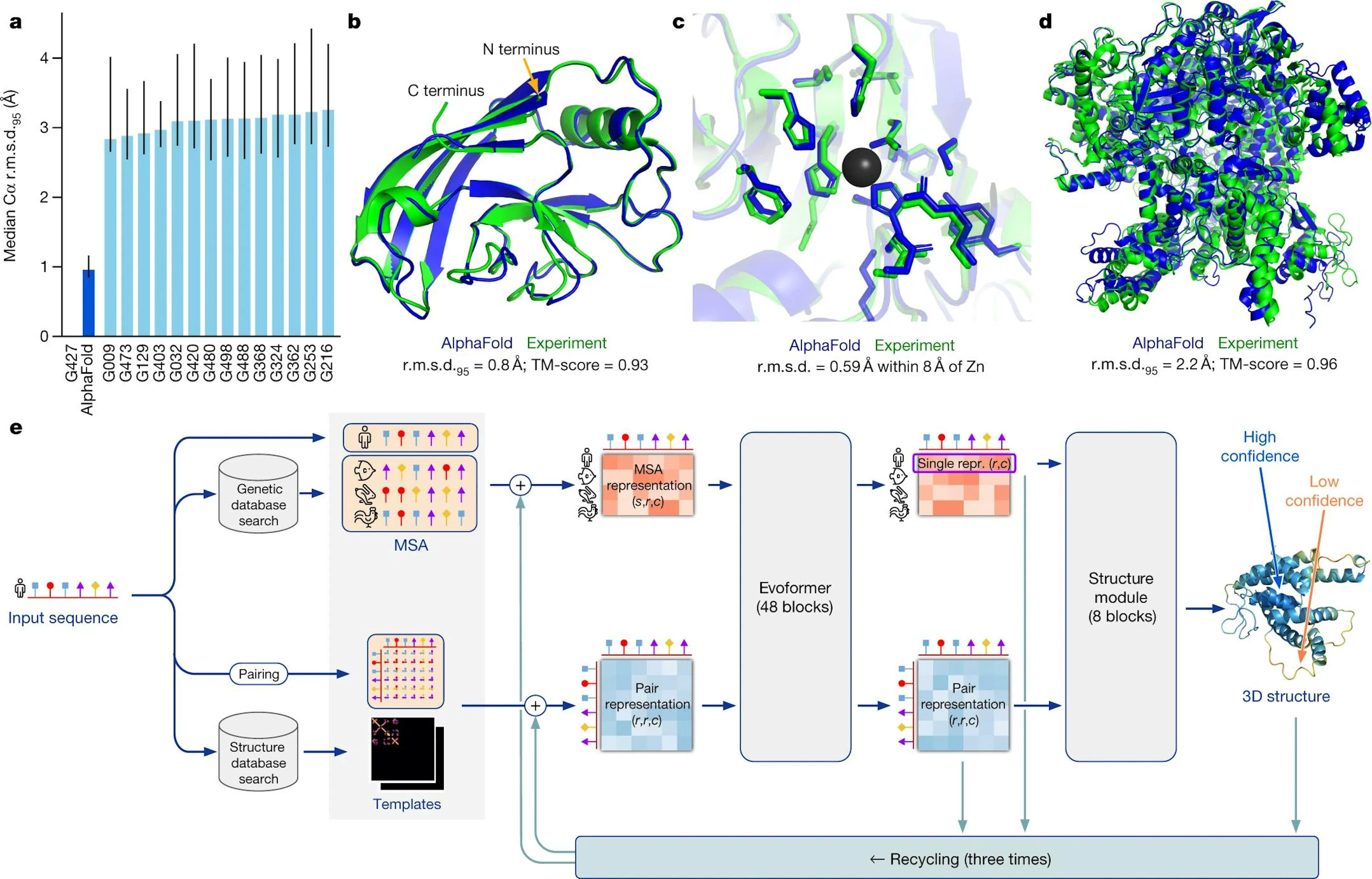 AlphaFold results: an accuracy bar chart, predicted structures overlaid on experimental ones, and the Evoformer and structure-module architecture