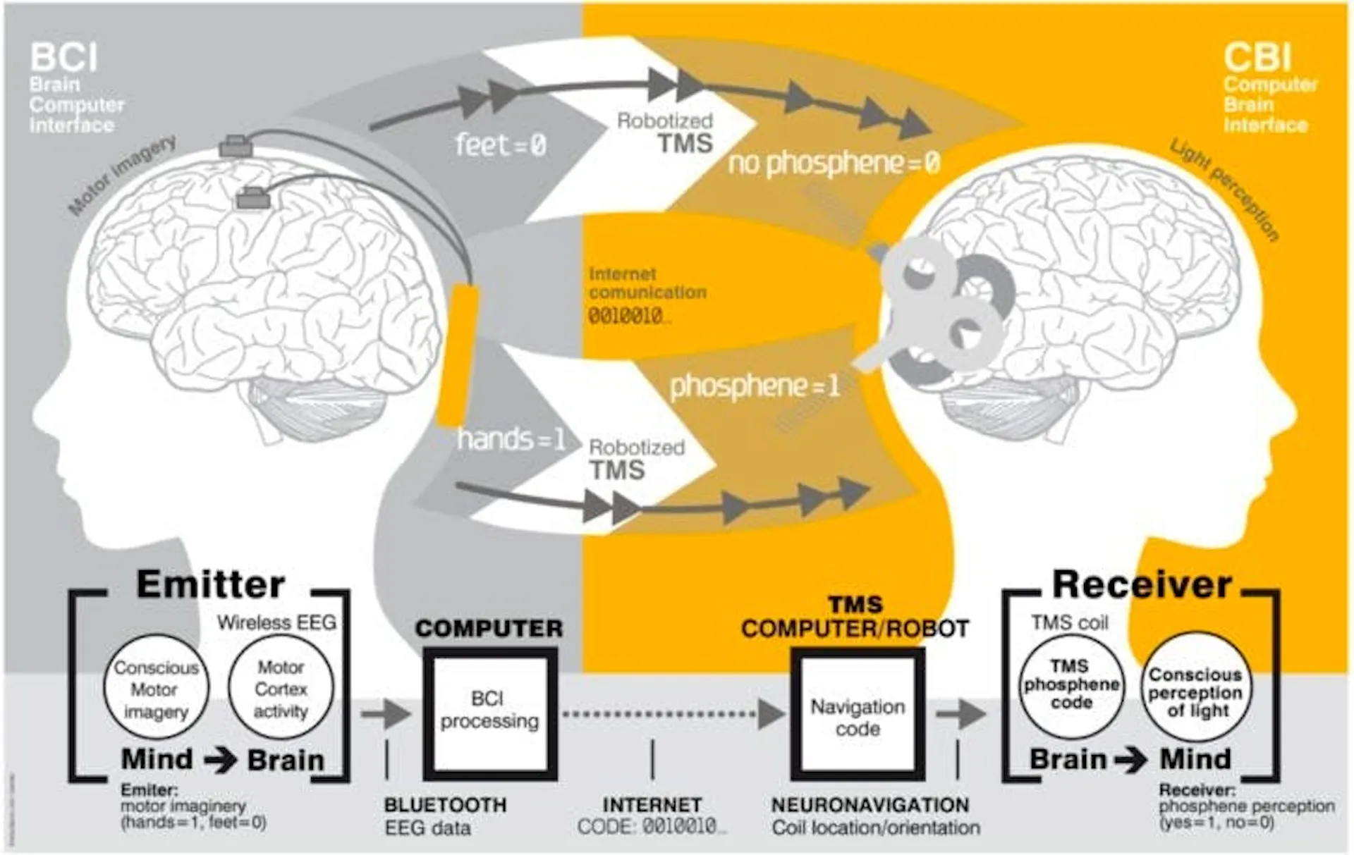 Diagram of brain-to-brain communication, EEG motor imagery from an emitter transmitted over the internet and delivered to a receiver as TMS-induced phosphenes