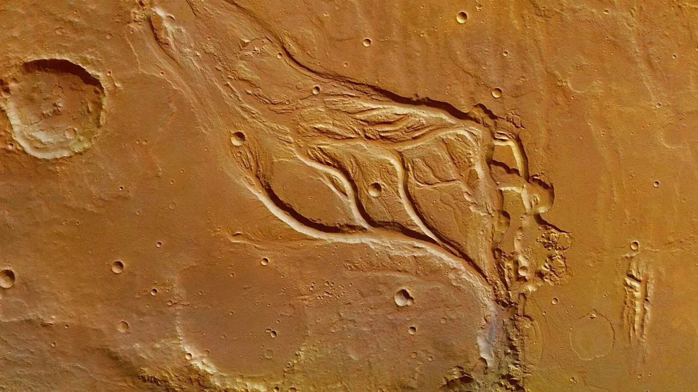 Orbital image of a Martian outflow channel, branching valleys carved into the rusty surface
