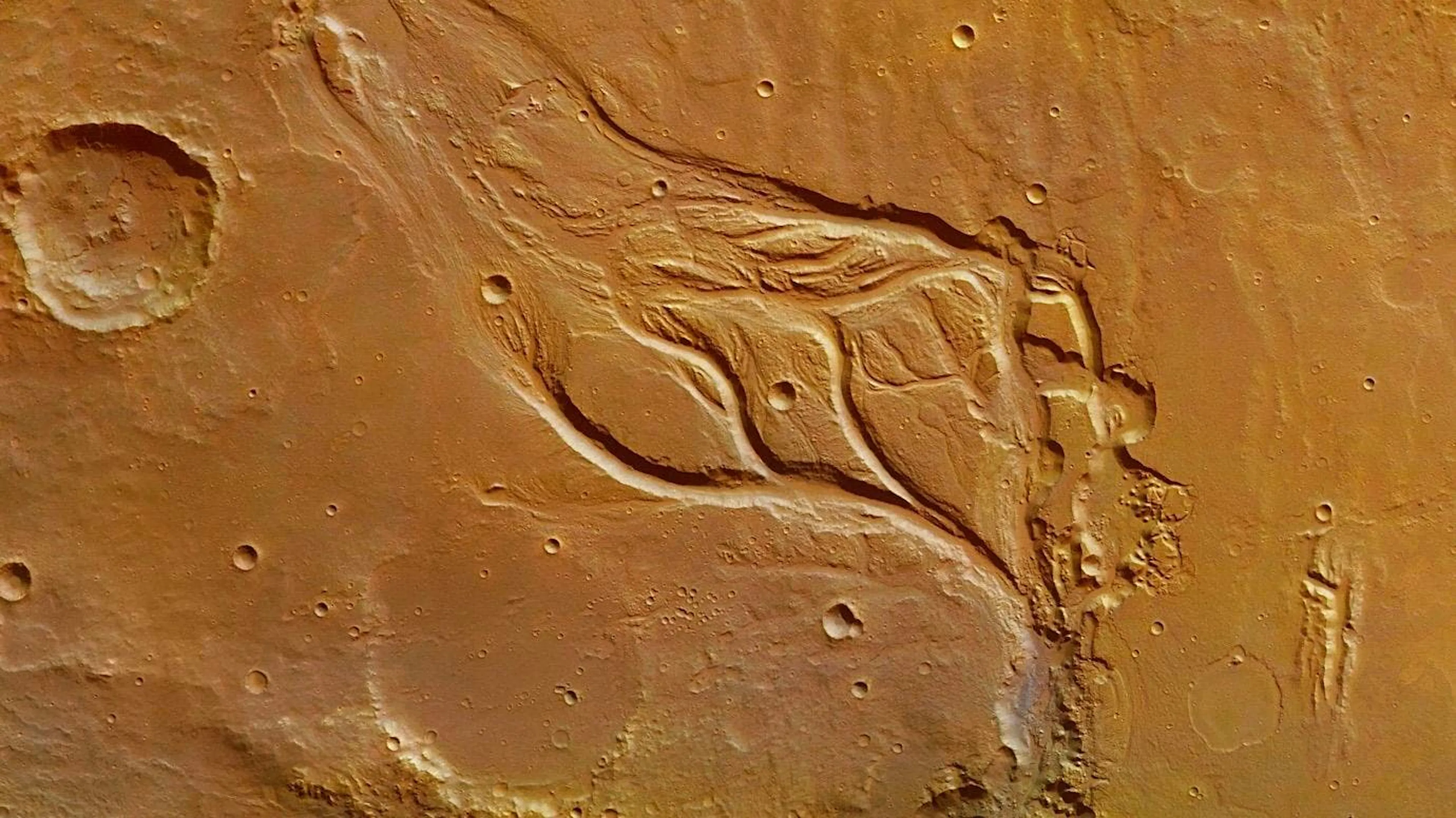 Orbital image of a Martian outflow channel, branching valleys carved into the rusty surface