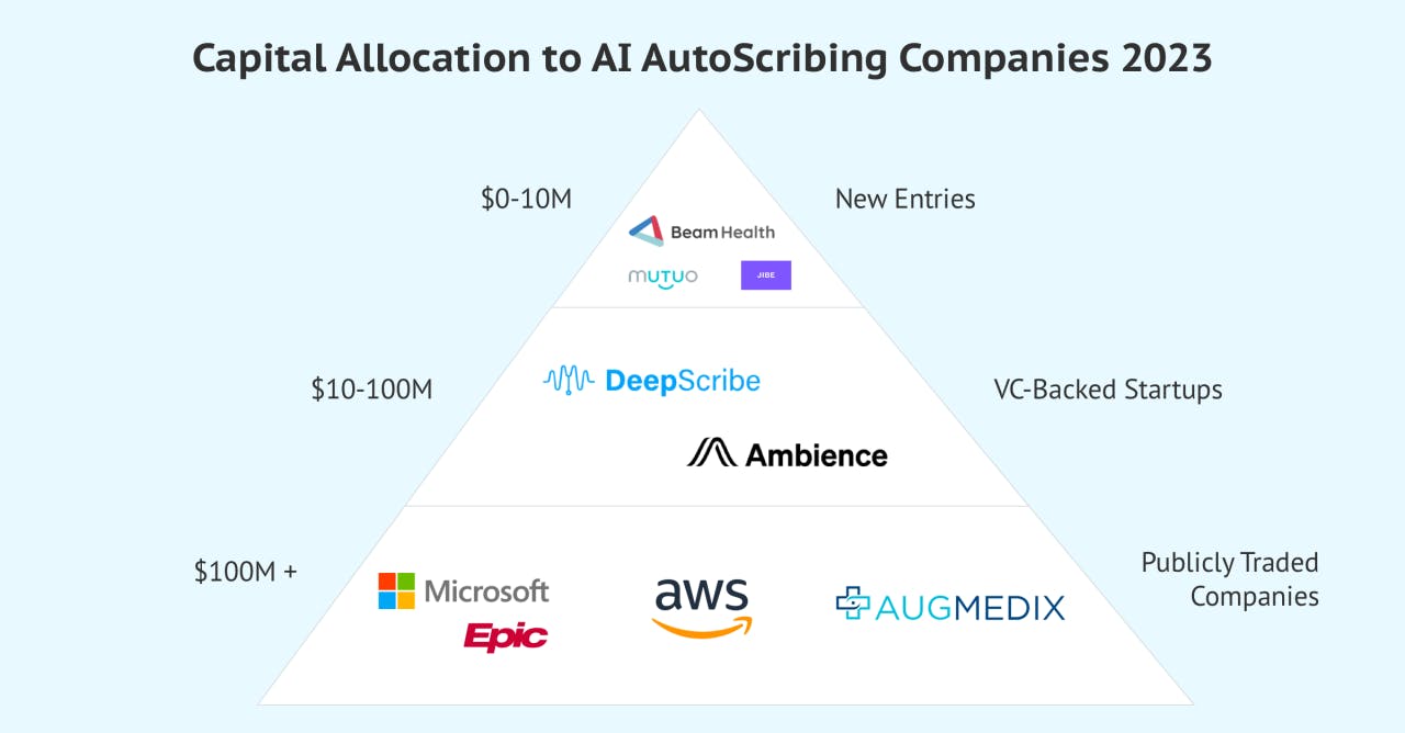 Diagram depicting capital allocations to AI autoscribing companies in 2023