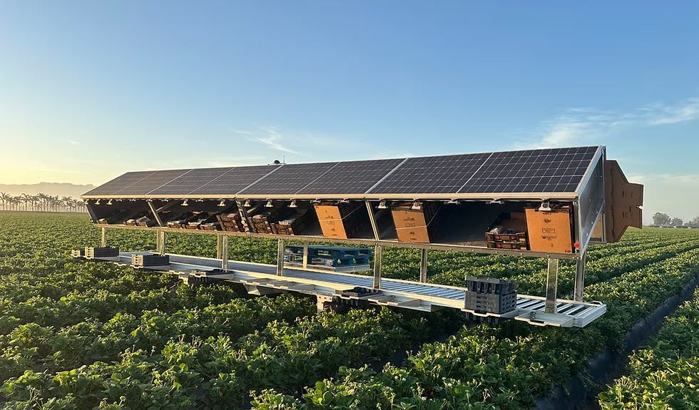Agrobot's automatic harvesting system