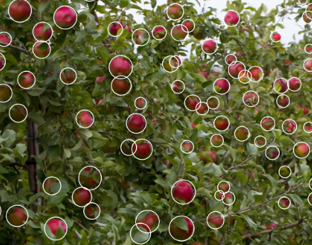 Orchard Robotics's FruitScope Vision that uses machine learning to provide information on health of the crops