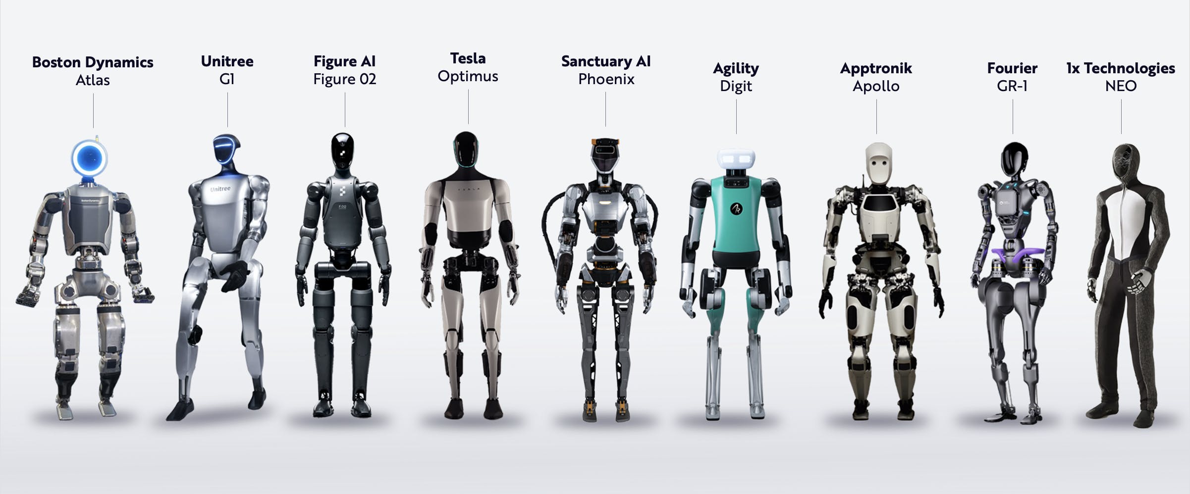 Humanoid Robotics From Around The World