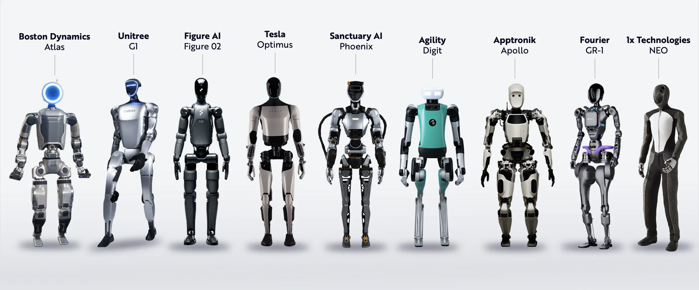 Humanoid Robotics From Around The World
