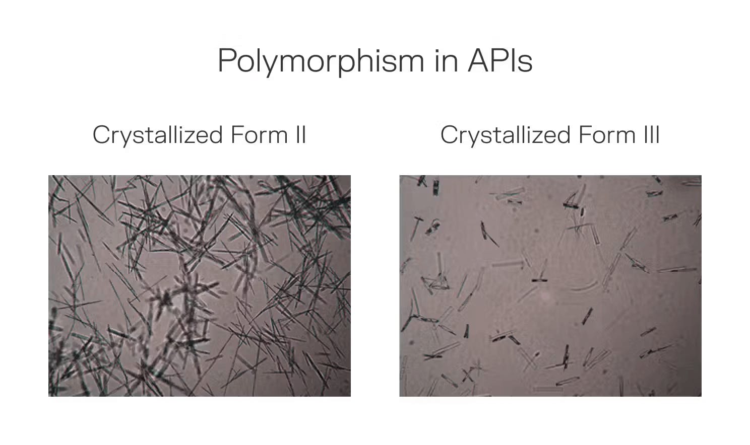Polymorphism in APIs