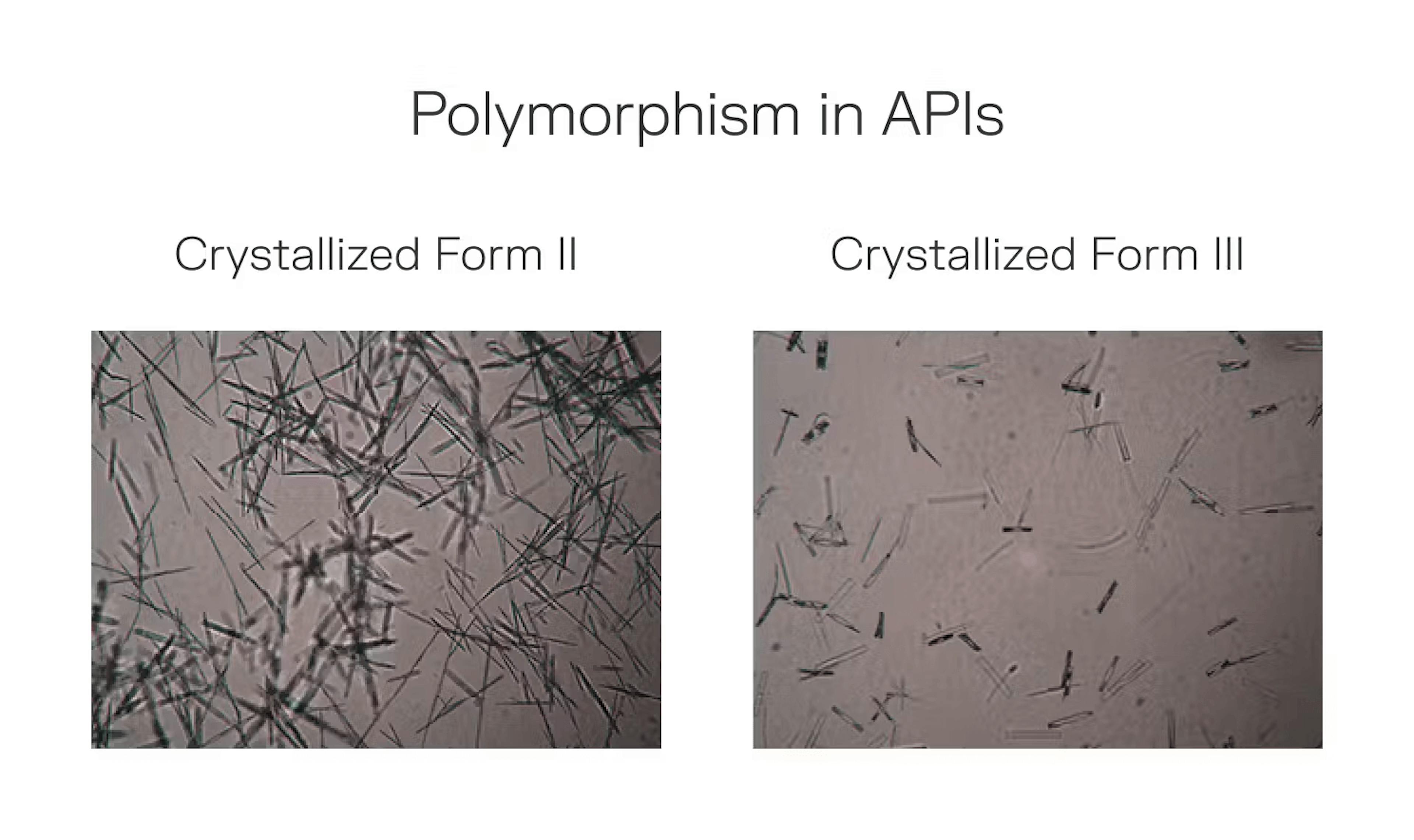 Polymorphism in APIs