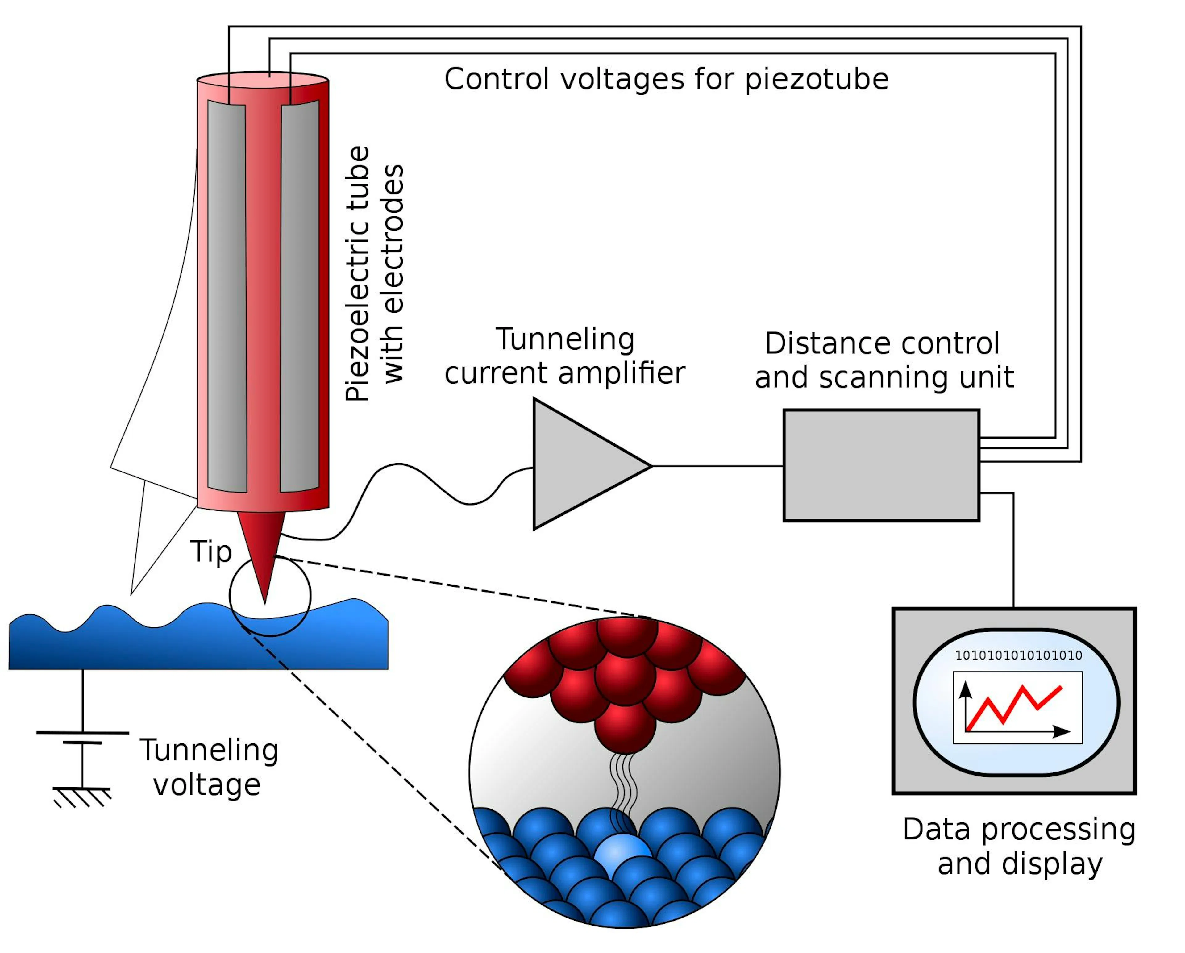 Diagram of a scanning tunnelling microscope, piezoelectric tube and tip scanning an atomic surface with tunnelling current amplified for display