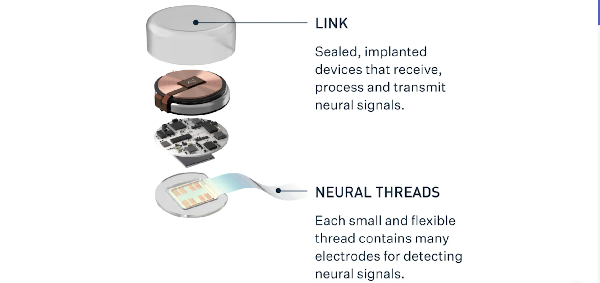 Report: Neuralink Business Breakdown & Founding Story | Contrary Research
