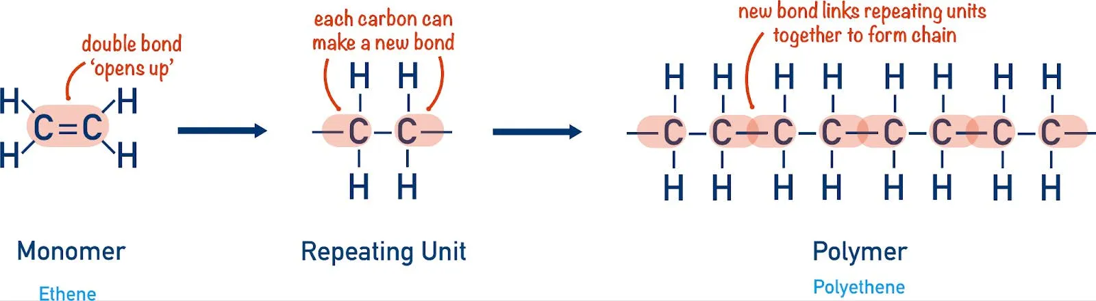 Diagram of polymerisation, an ethene double bond opening so repeating units link into a polyethylene chain