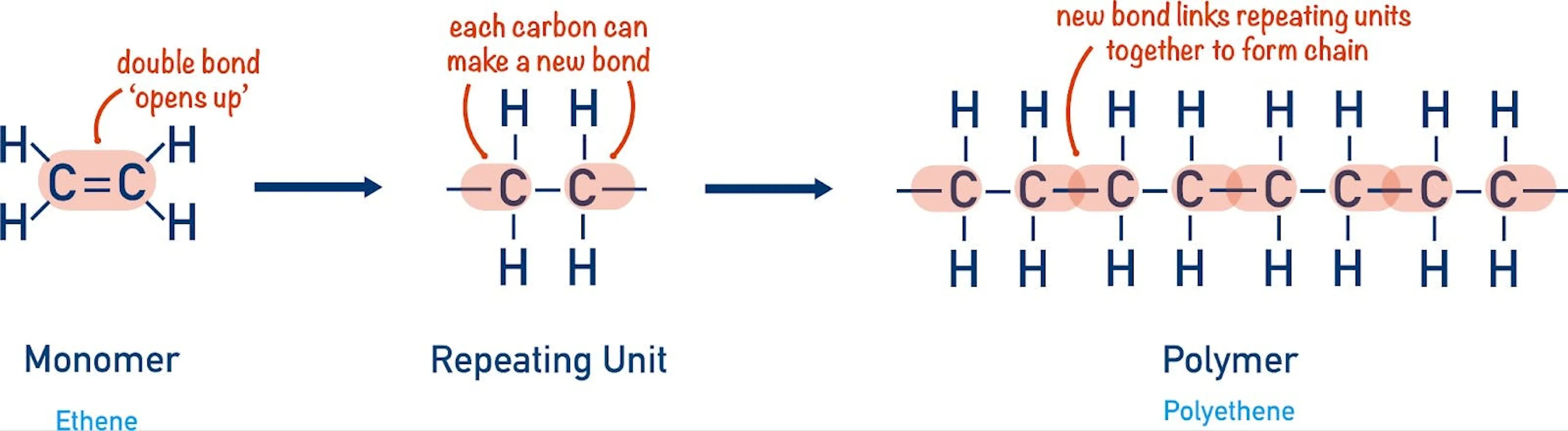 Diagram of polymerisation, an ethene double bond opening so repeating units link into a polyethylene chain