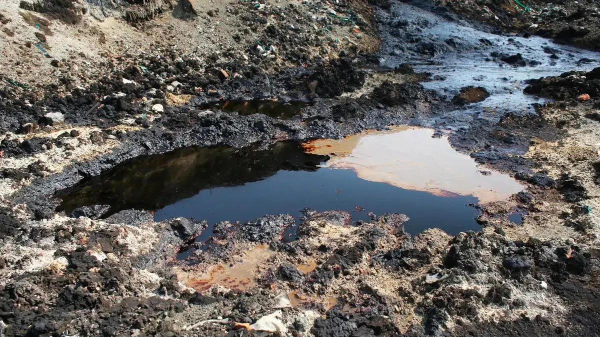 Photograph of a natural asphalt seep, black tar and standing water pooled in broken ground
