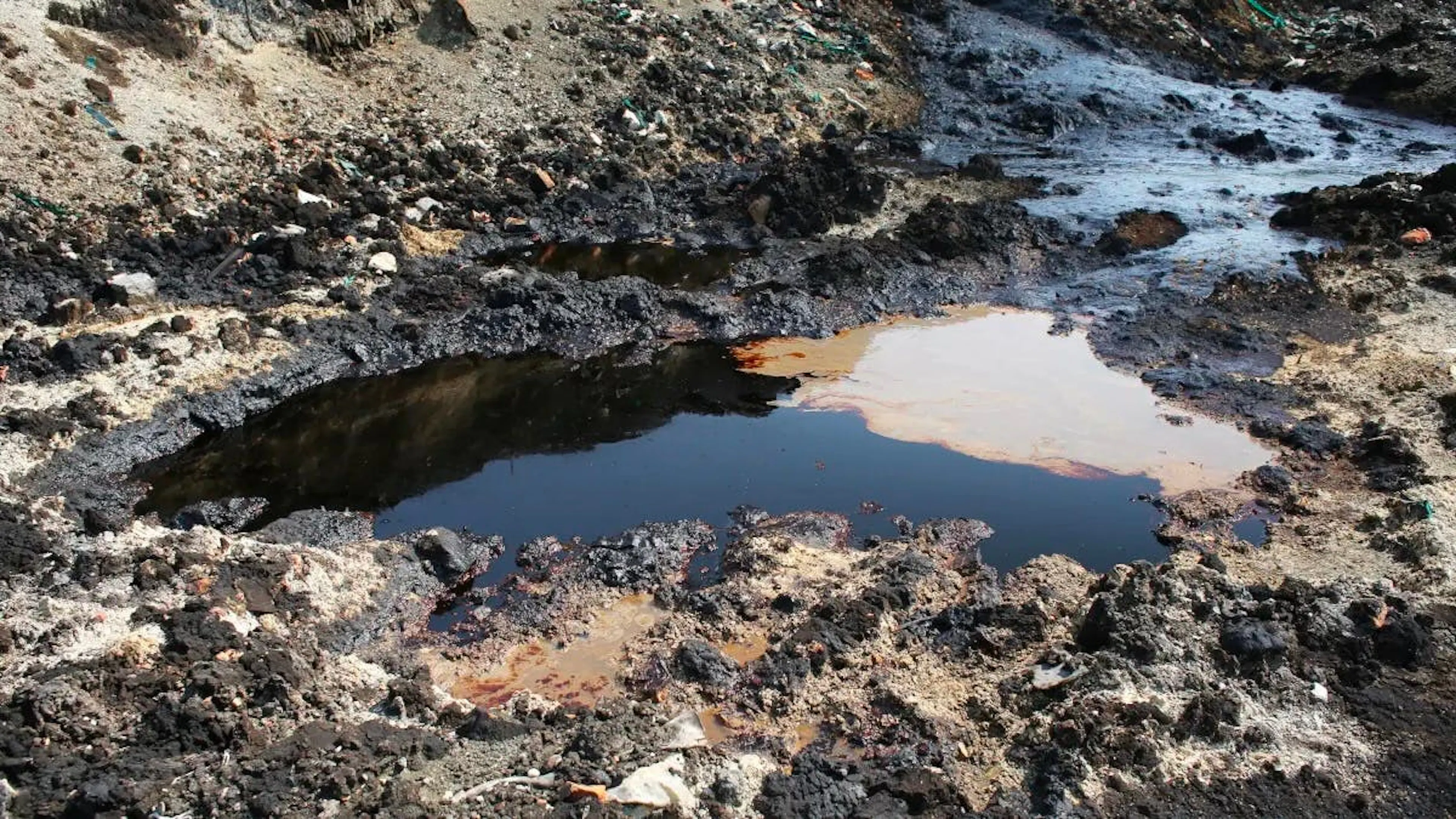 Photograph of a natural asphalt seep, black tar and standing water pooled in broken ground