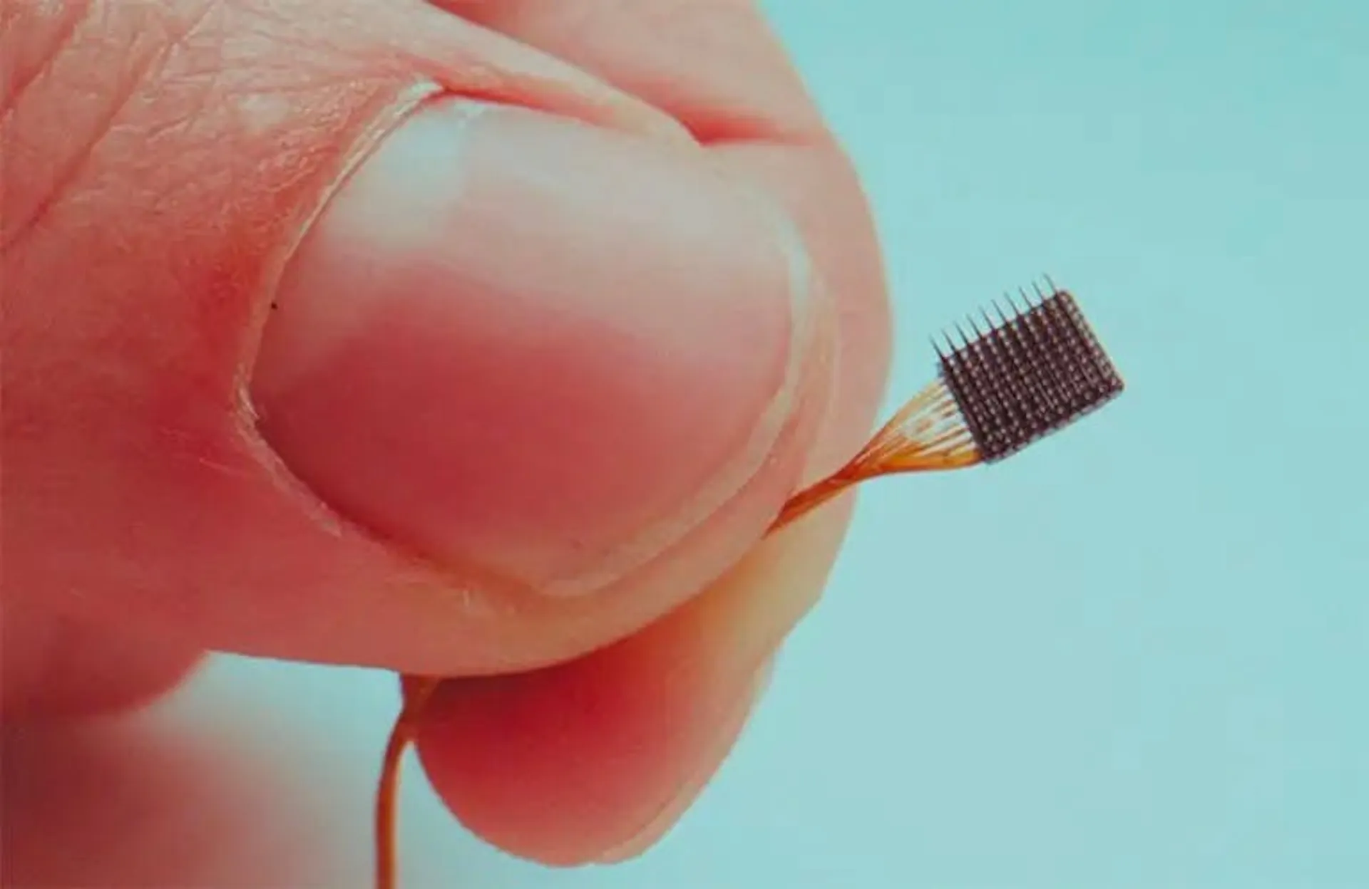 Close-up of a Utah electrode array, a square bed of microscopic needles held between finger and thumb