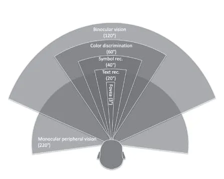 Diagram of the human visual field, nested arcs from three-degree foveal vision out to 220-degree peripheral vision