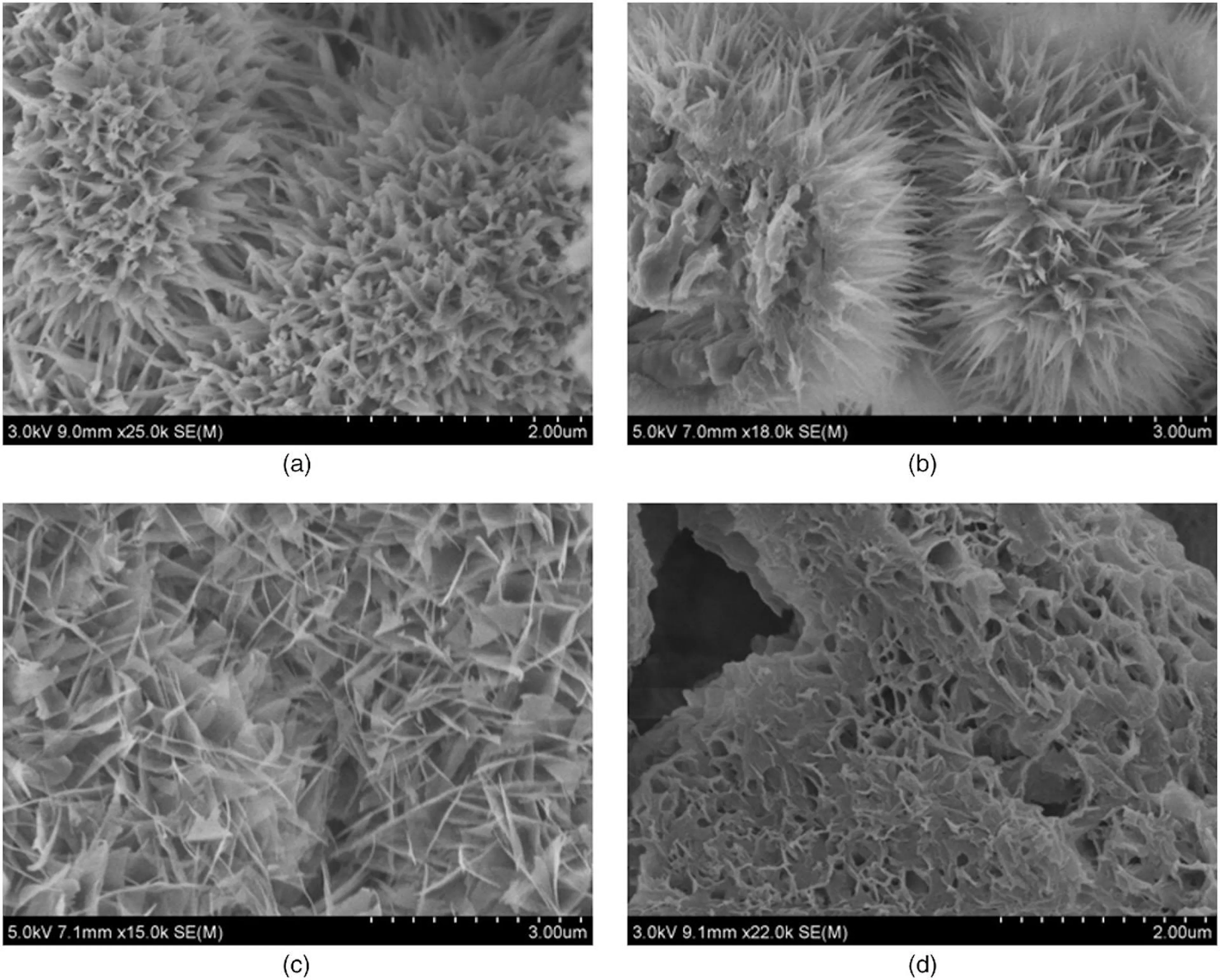 Four scanning electron micrographs of hydrated cement, showing needle-like and plate-like calcium silicate hydrate crystals