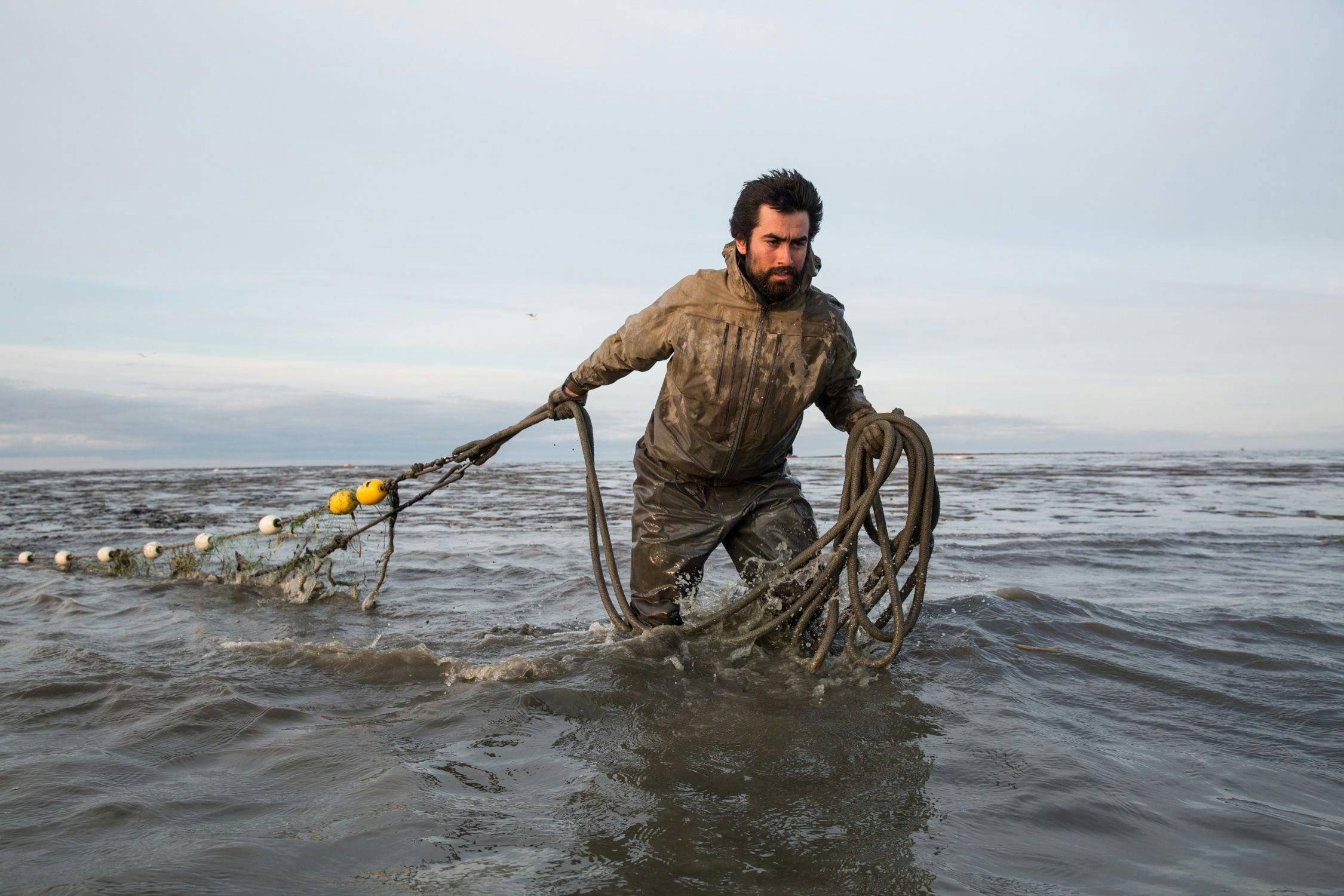 Commercial Fishing Fisherman Pulling Fishing Netharvesting Stock