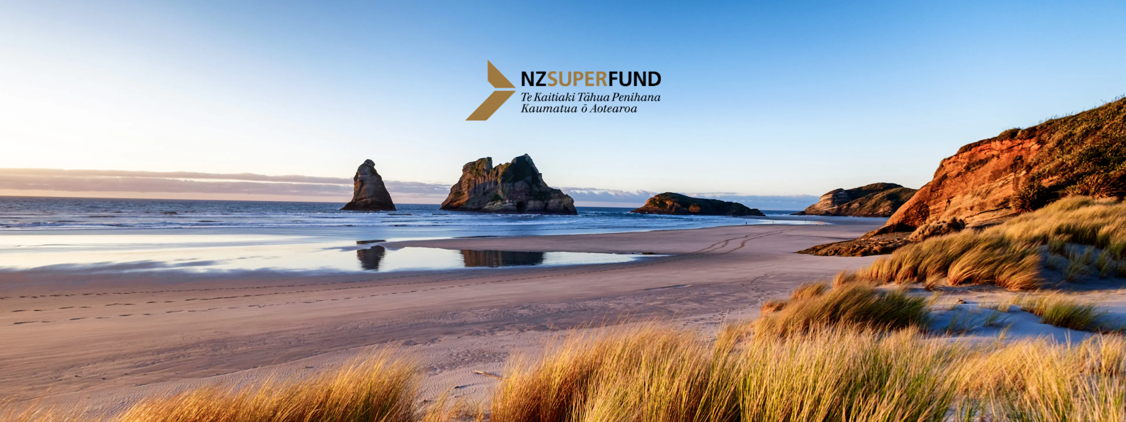 Case Study: Three Specialist Risk Roles for NZ Super Fund