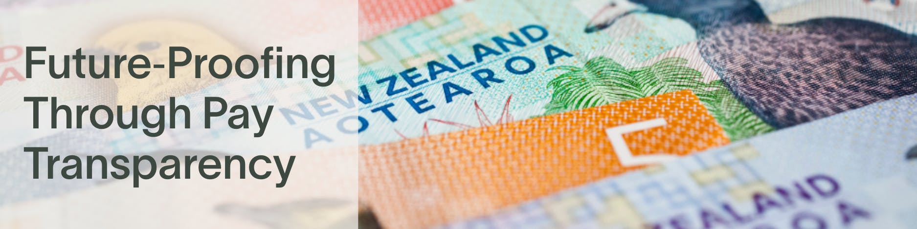 Transparency is now a strategic driver of trust, engagement, and competitiveness in the labour market