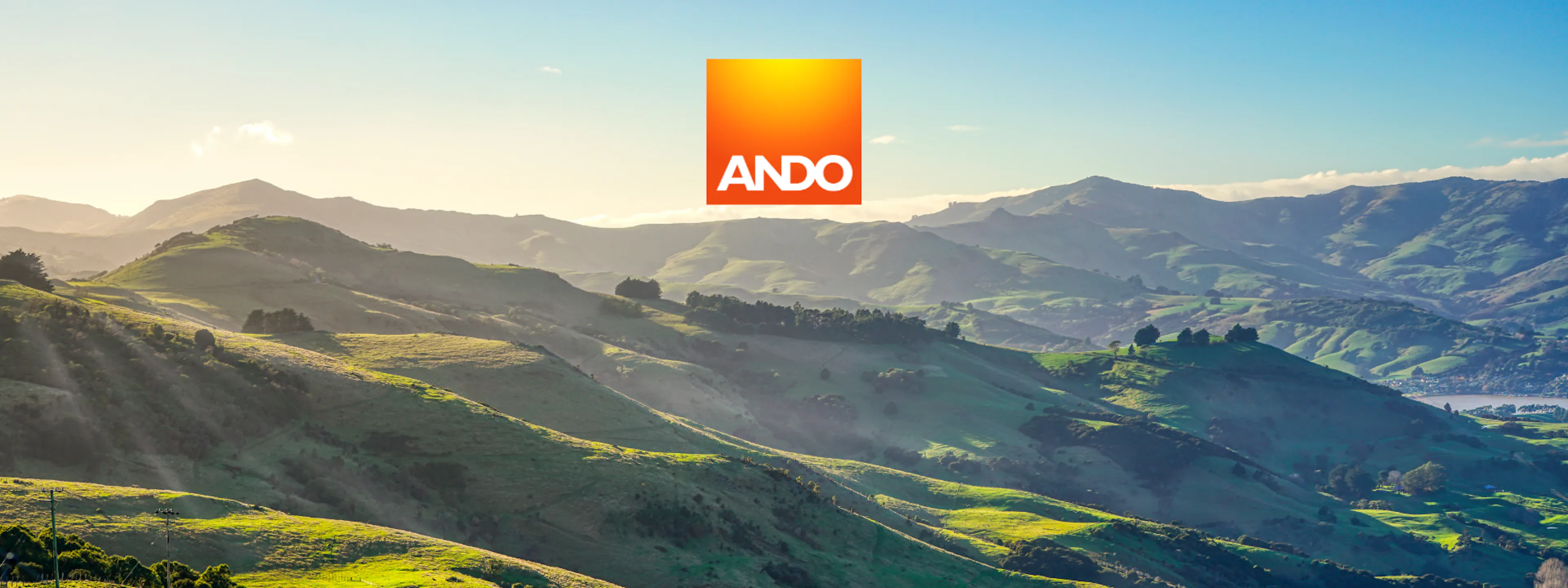 Case Study: CIO for Ando Insurance