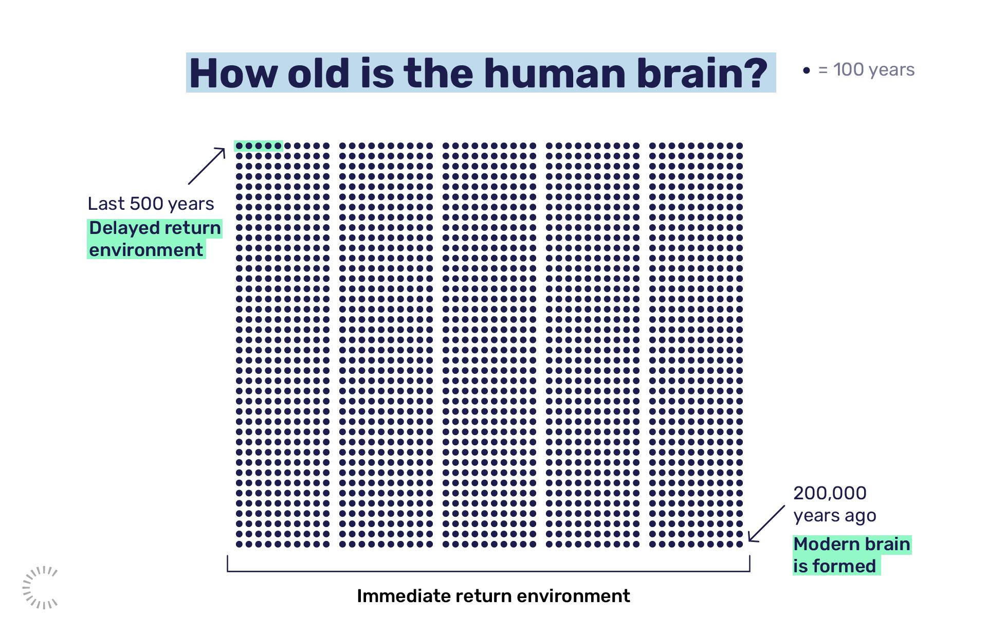How old is the human brain?