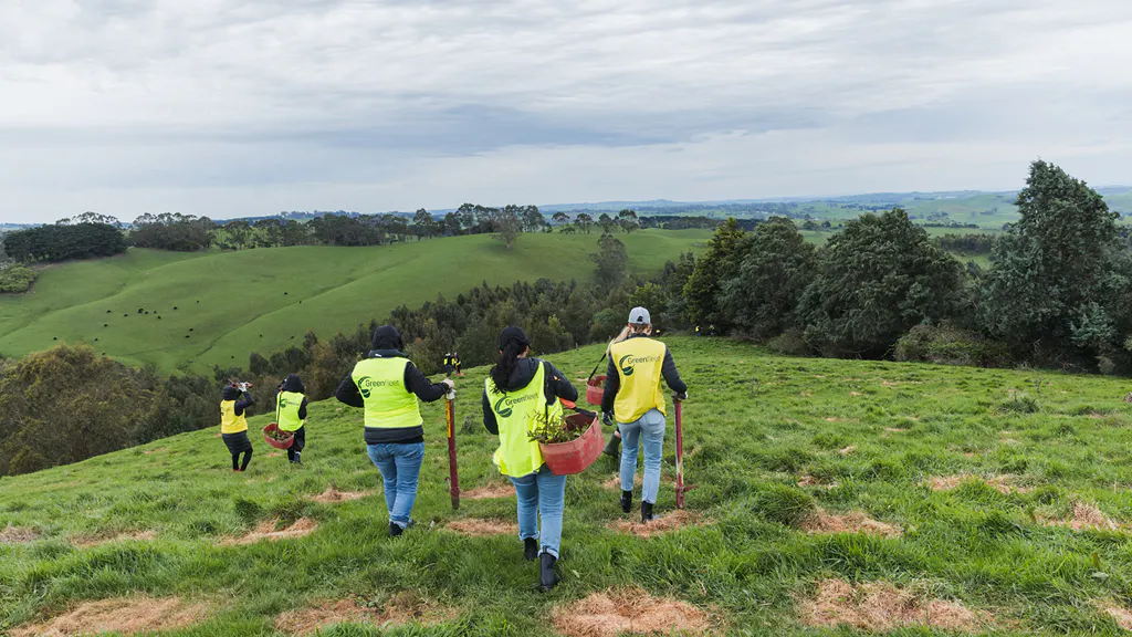 Greenfleet people planting trees reforestation green landscape