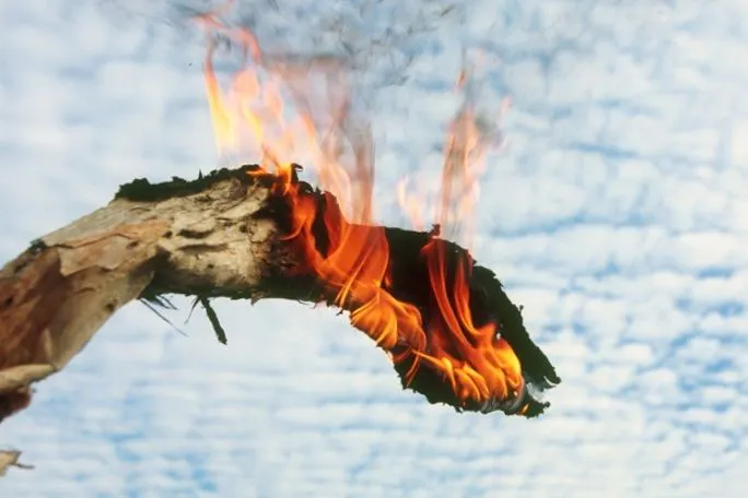 image of a wooden log burning and convered in flames against a blue sky