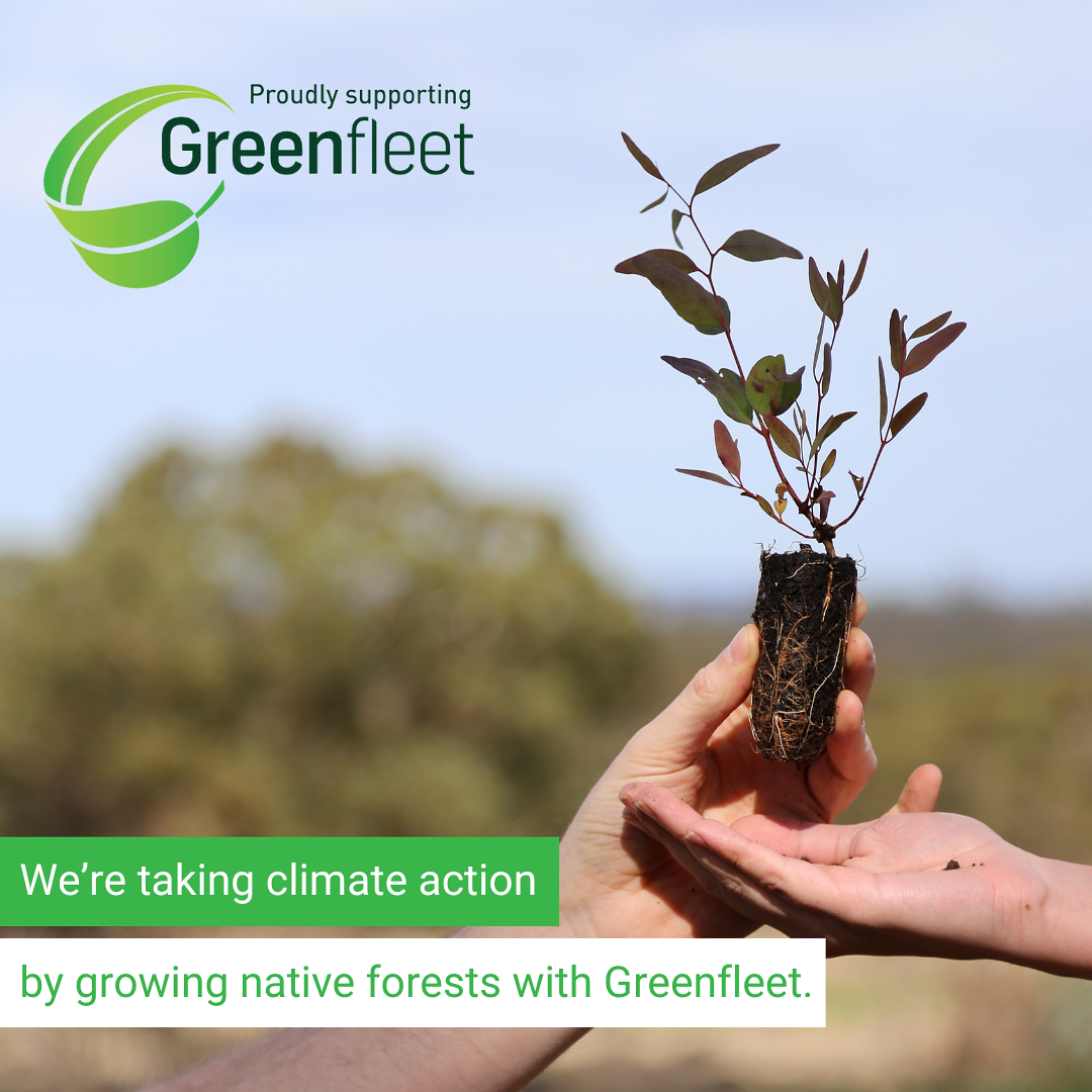 Greenfleet supporting growing native forests planting trees