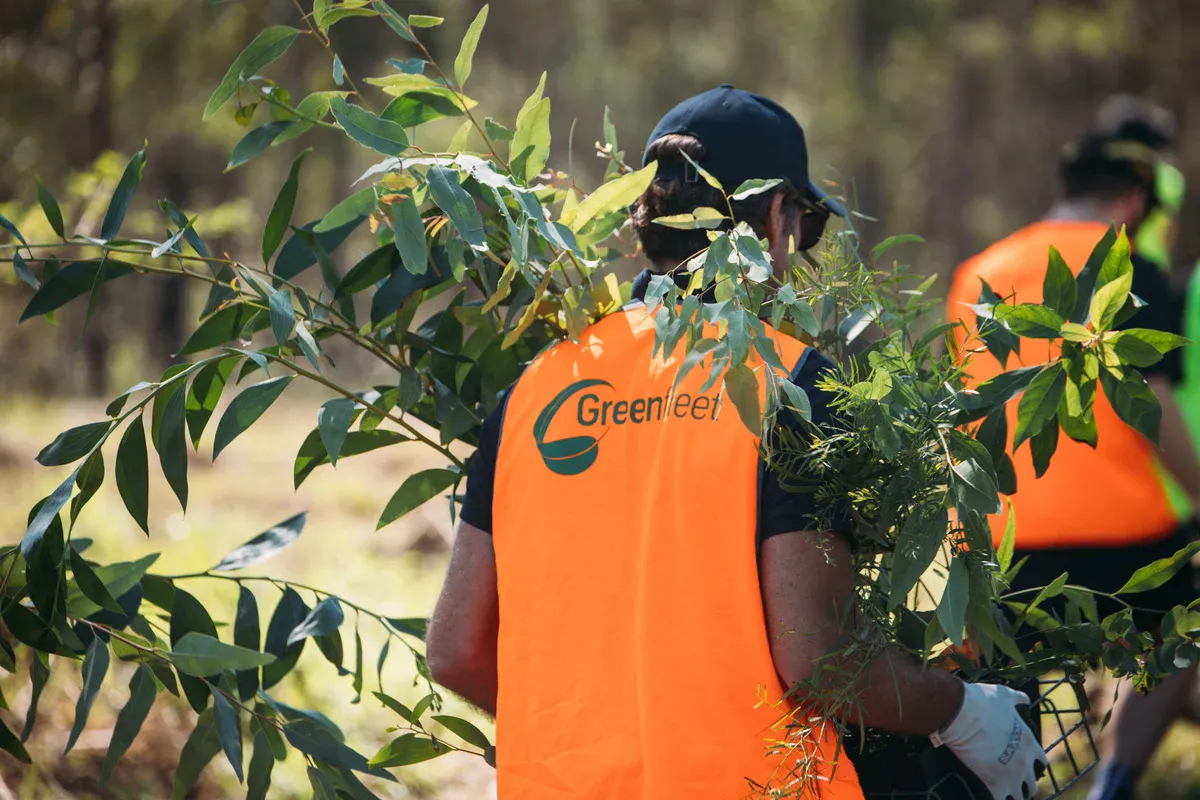 Greenfleet people planting trees reforestation green landscape