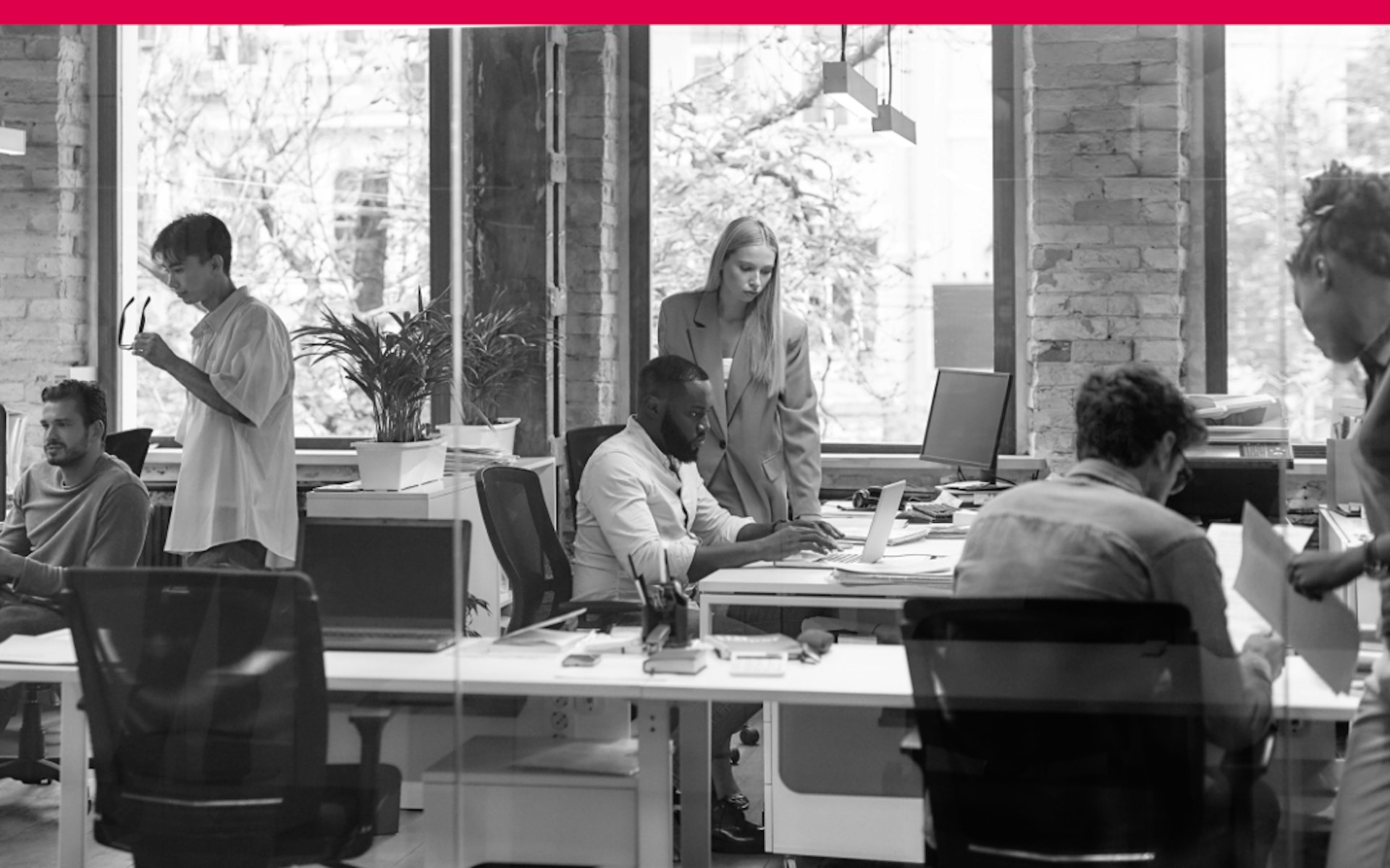 gestion des talents