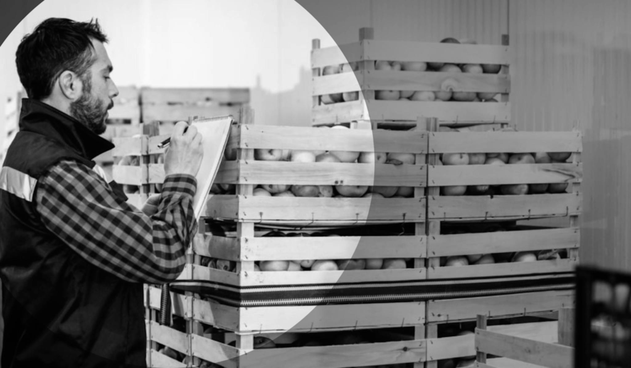 warehouse staff packing food