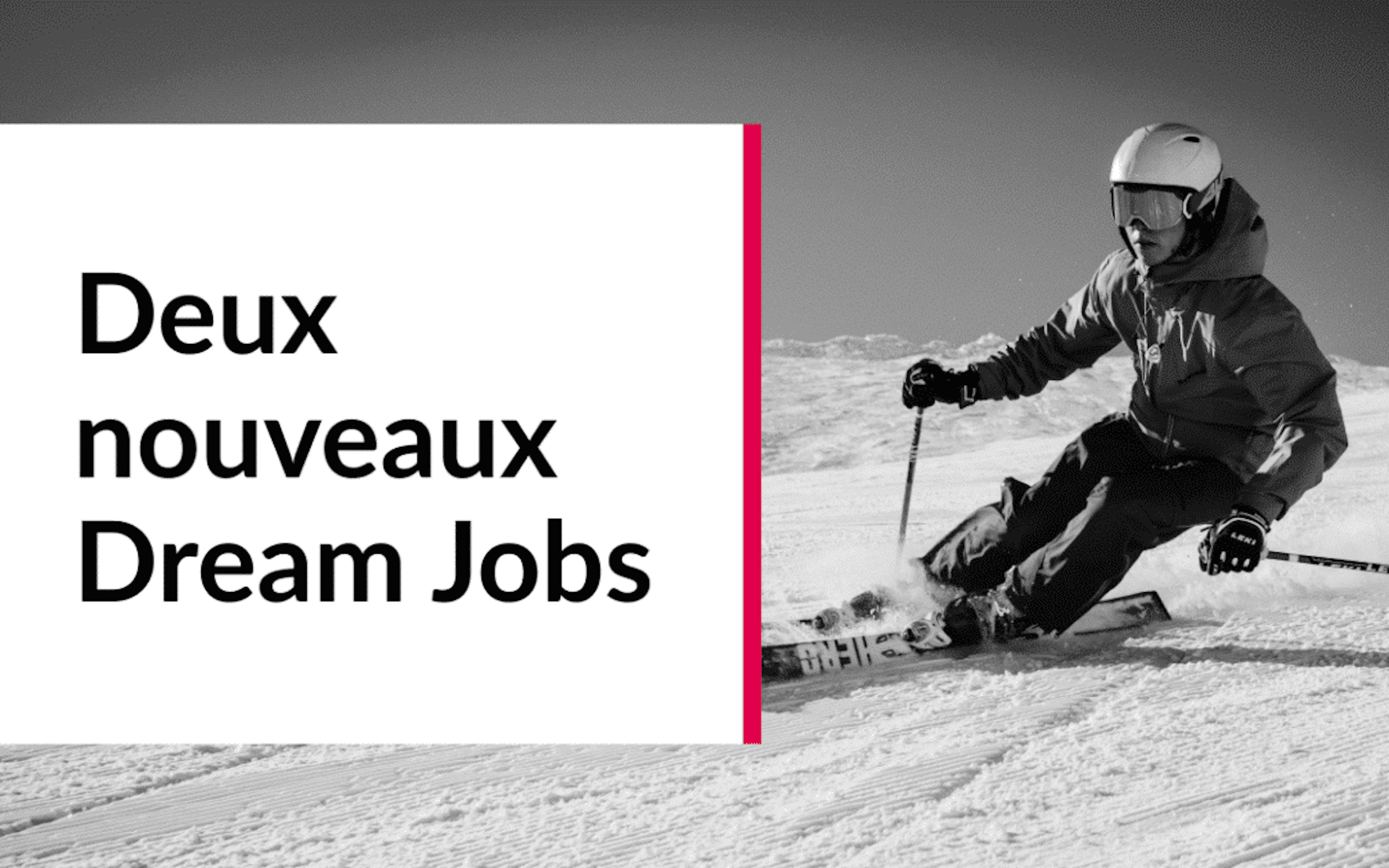 Dream Jobs