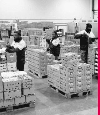 Logistique STEF Suisse AG