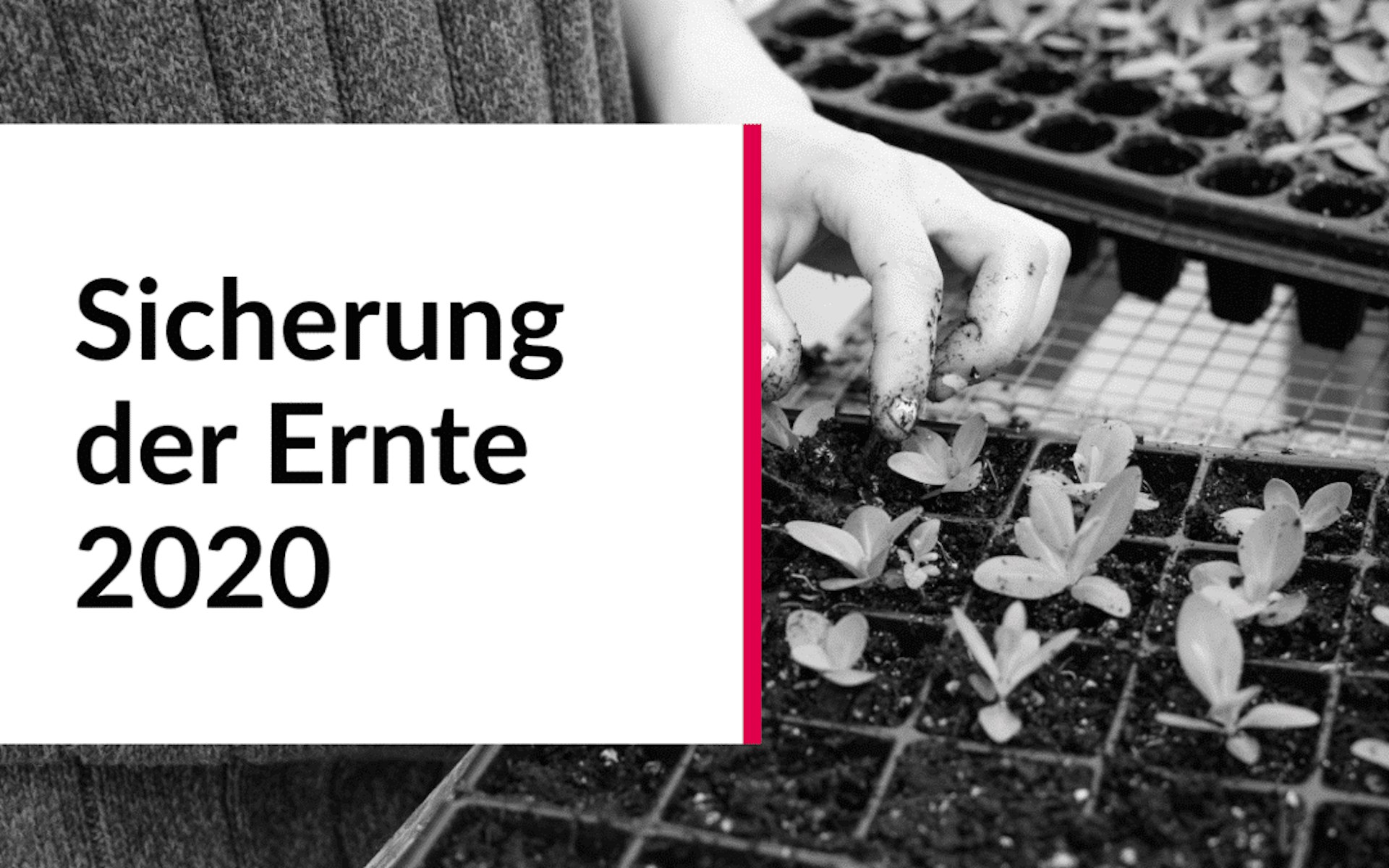 Sicherung der Ernte 2020