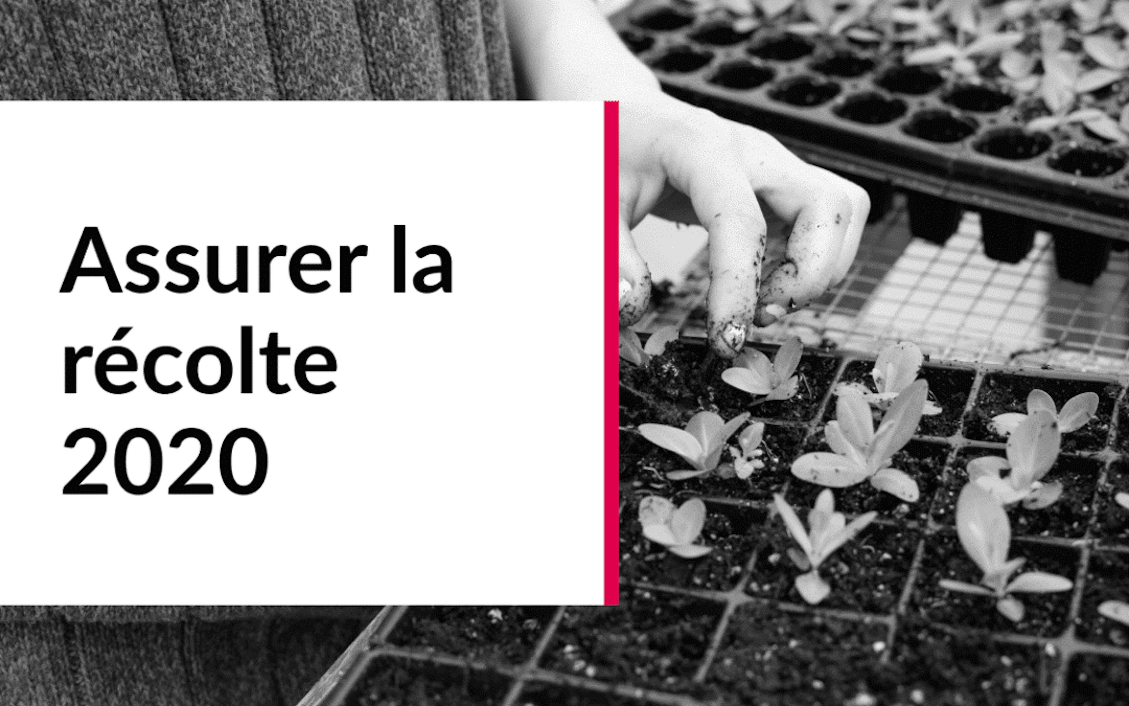 la récolte 2020