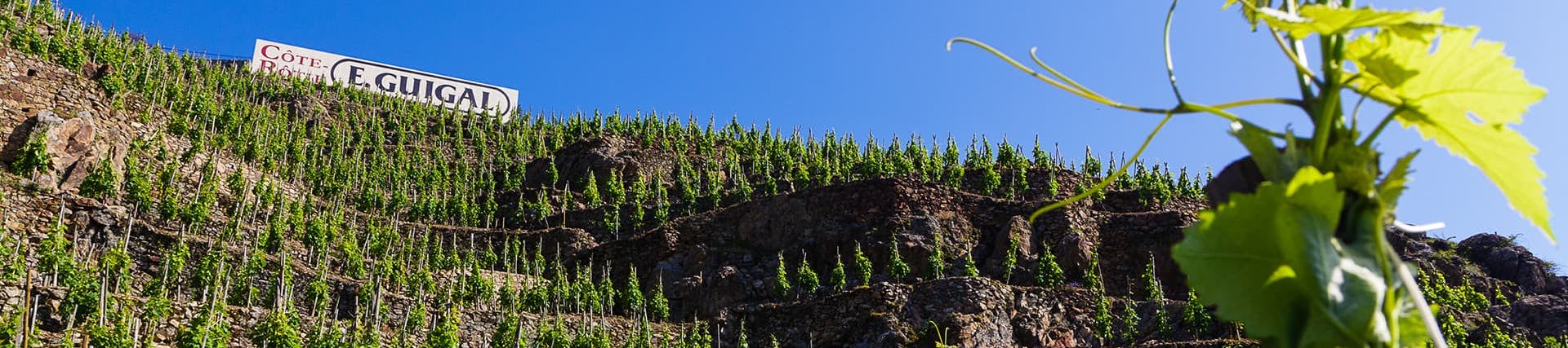 Marcel en Philippe Guigal. Eigenaars Marcel en Philippe Guigal. Eigenaars