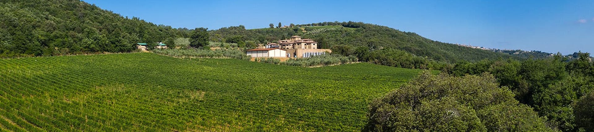 Nicolas Caramelli. Vigneron Nicolas Caramelli. Vigneron