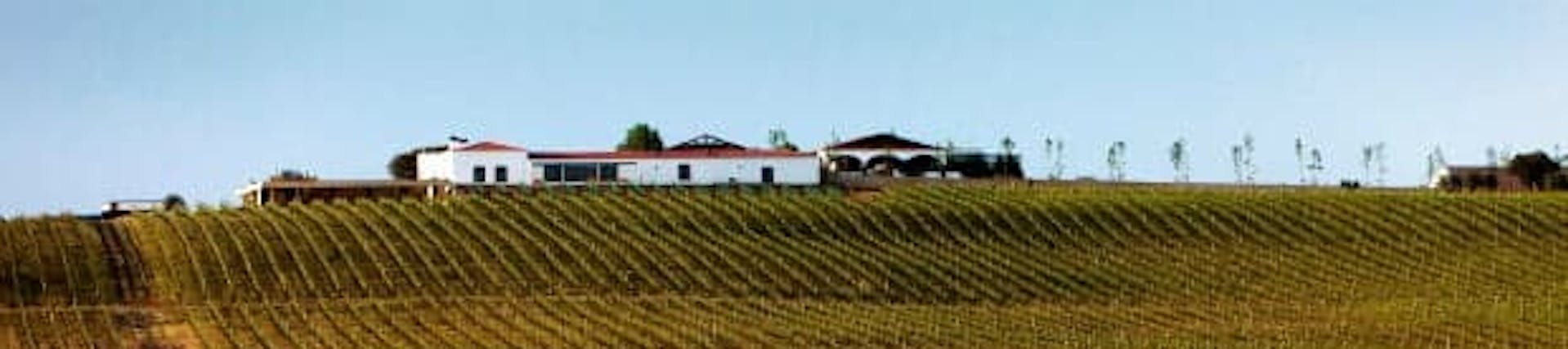 David Baverstock et Sandra Alves. Vignerons David Baverstock et Sandra Alves. Vignerons