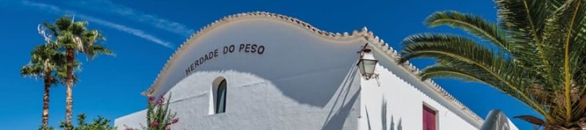 Luis Cabral de Almeida. Vigneron Luis Cabral de Almeida. Vigneron