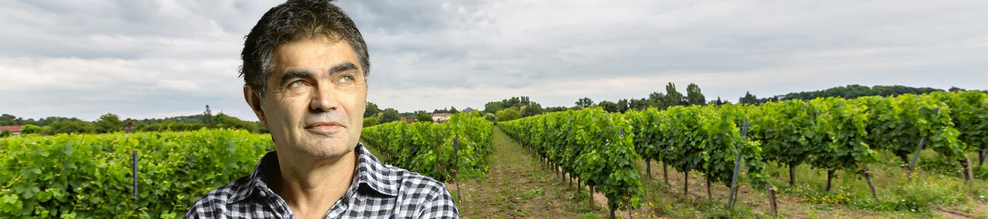 Jean-François Réaud. Vigneron