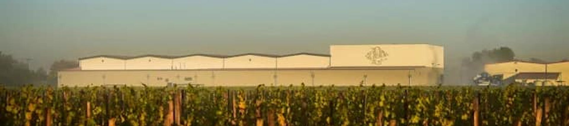 Treasury Wine Estates. Propriétaire Treasury Wine Estates. Propriétaire