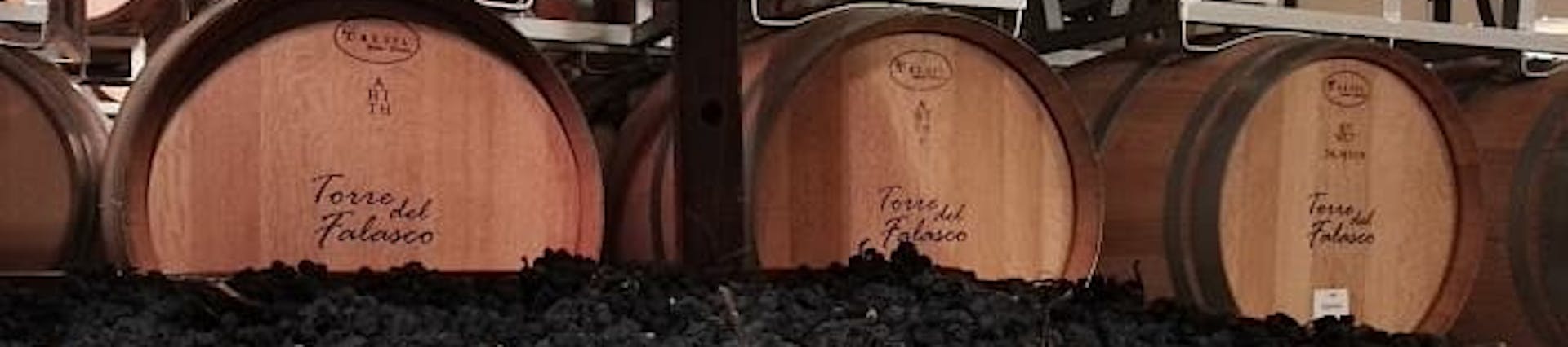 Luca Degani. Directeur Luca Degani. Directeur