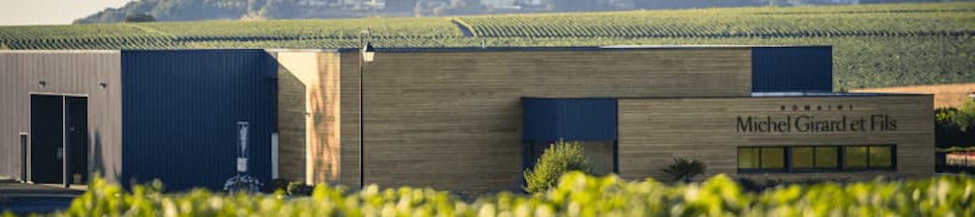 Michel Girard. Vigneron Michel Girard. Vigneron
